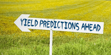 Sign_Post1-1 Sign_Post1-1