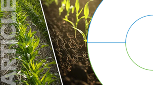 Ecofield_Article1_AgRetailer_Callout_0424