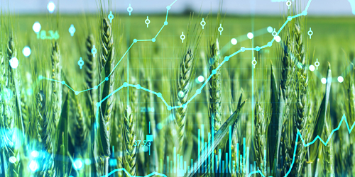 Agriculture_Market data-1